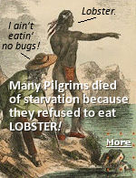 This Thanksgiving, Americans will consume 46 million turkeys, though, according to historians, turkey might not have been served 400 years ago on the first Thanksgiving menu. That particular meal included wildfowl, venison, and fresh seafood consisting of lobster, clams, oysters, and mussels harvested from rocks off the shores. Lobsters back then were so plentiful you could scoop them right out of the ocean at low tide.